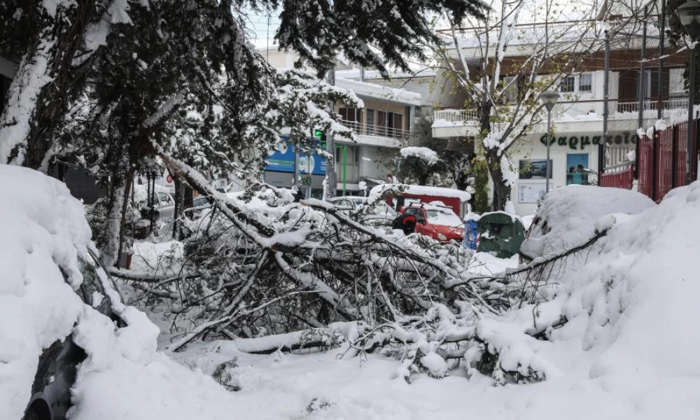 Απεγκλωβίστηκε τραυματισμένο αγόρι στη Παλλήνη - Μεταφέρθηκε στο «Παίδων»